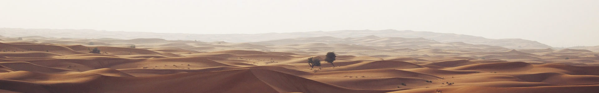 ĳжó޹˾